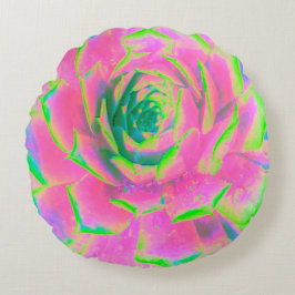 Lime Green och Rosa Succulent Sedum Rosette Rund Kudde