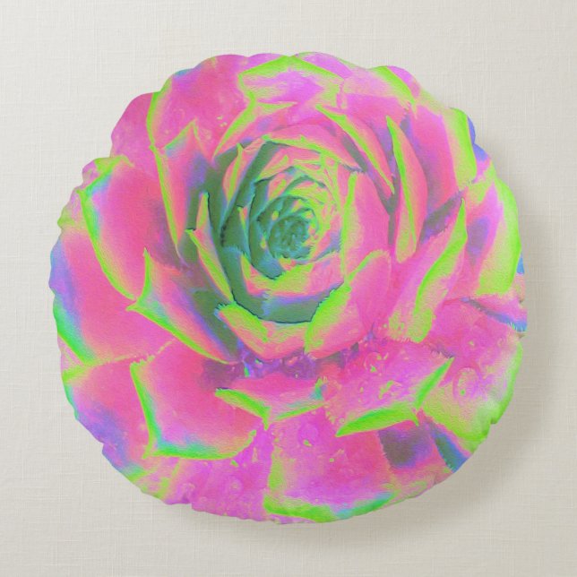 Lime Green och Rosa Succulent Sedum Rosette Rund Kudde (Framsidan)