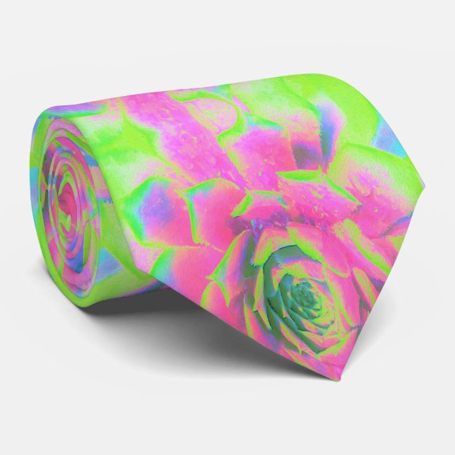 Lime Green och Rosa Succulent Sedum Rosette Slips (Rullad)