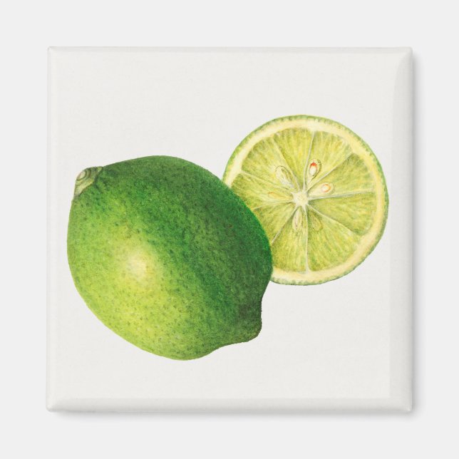 lime magnet (Framsidan)