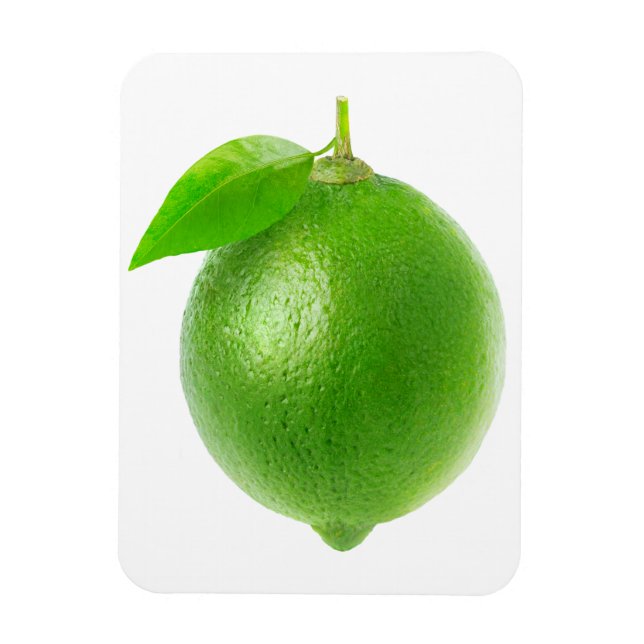 Lime Magnet (Vertikal)