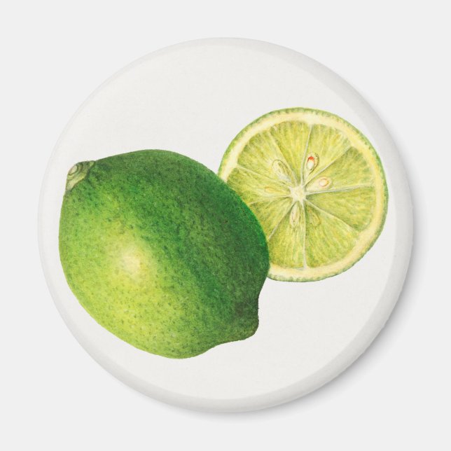 lime magnet (Framsidan)