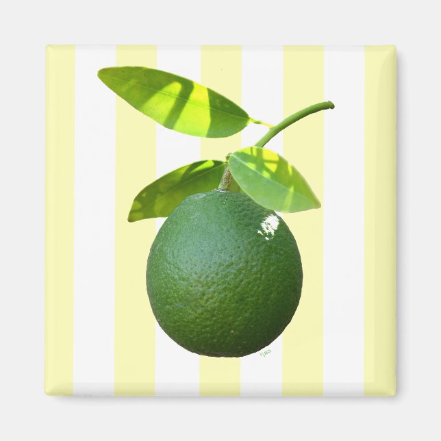 Lime Magnet (Framsidan)