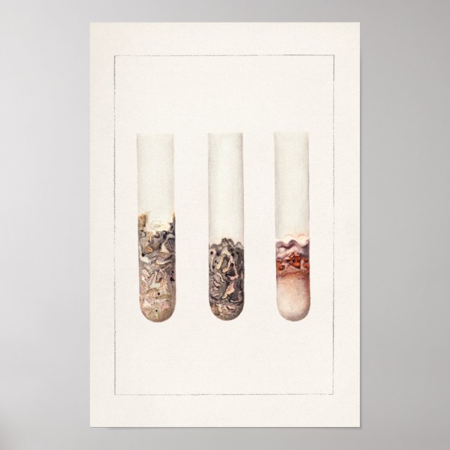 Limefrukter (Citrus Aurantiifolia) Poster (Framsidan)