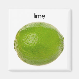 Limefruktkylskåpmagnet Magnet
