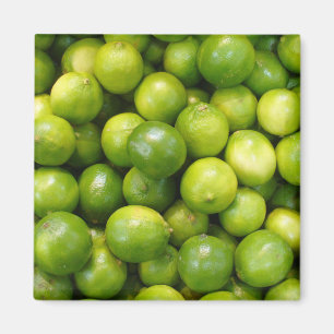 Limefruktmagnet 01 magnet