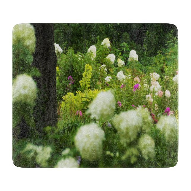 Limelight Hydrangeas i min Rubio trädgård (Framsidan)