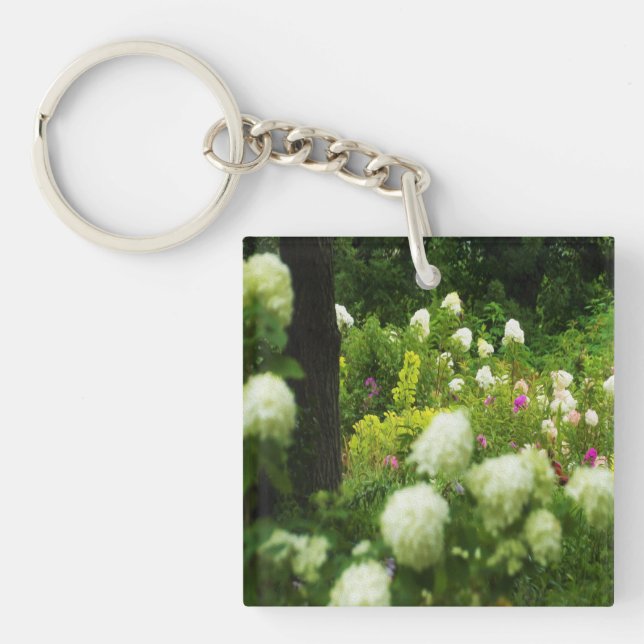Limelight Hydrangeas i min Rubio trädgård (Framsidan)