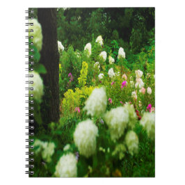 Limelight Hydrangeas i min Rubio trädgård Anteckningsbok