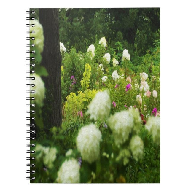 Limelight Hydrangeas i min Rubio trädgård Anteckningsbok (Framsidan)