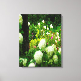 Limelight Hydrangeas i min Rubio trädgård Canvastryck