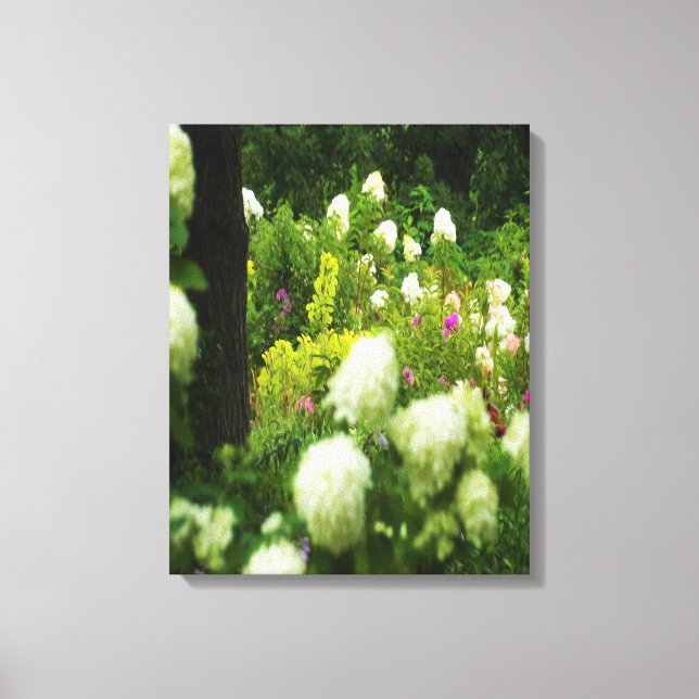 Limelight Hydrangeas i min Rubio trädgård Canvastryck (Framsida)
