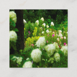 Limelight Hydrangeas i min Rubio trädgård Fyrkantigt Visitkort