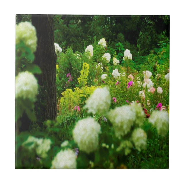 Limelight Hydrangeas i min Rubio trädgård Kakelplatta (Framsidan)