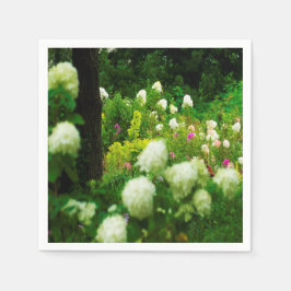 Limelight Hydrangeas i min Rubio trädgård Pappersservett