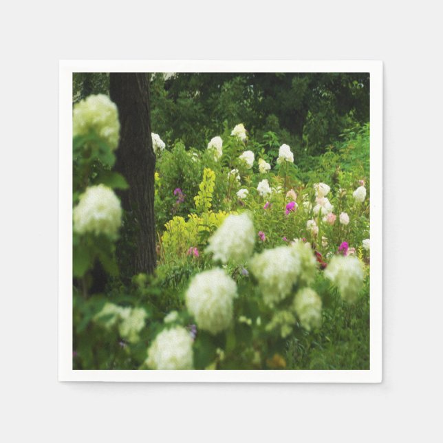 Limelight Hydrangeas i min Rubio trädgård Pappersservett (Framsidan)