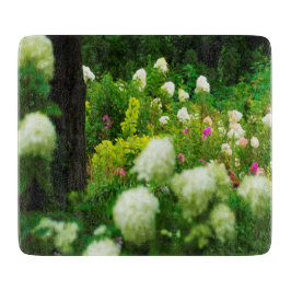 Limelight Hydrangeas in My Rubio Garden