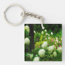 Limelight Hydrangeas in My Rubio Garden