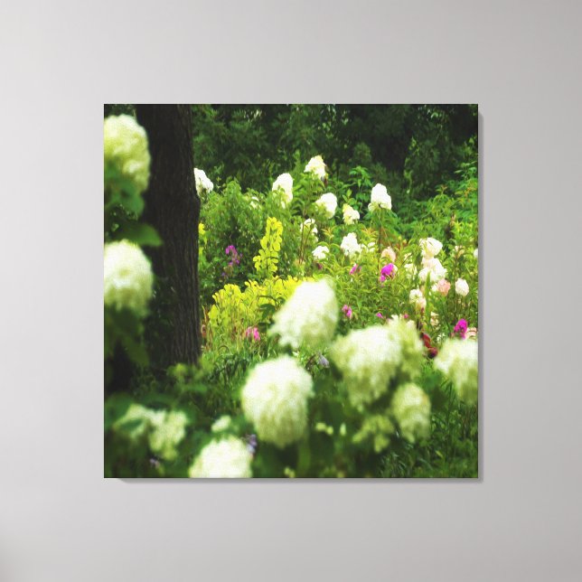 Limelight Hydrangeas in My Rubio Garden Canvastryck (Framsida)