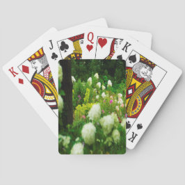 Limelight Hydrangeas in My Rubio Garden Casinokort