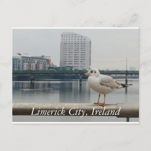 Limerick City, Irland Vykort (Framsida)