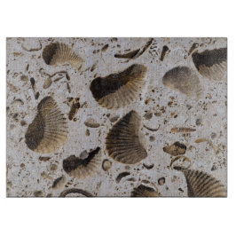 Limestone Fossils
