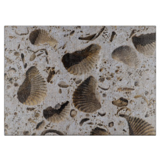 Limestone Fossils