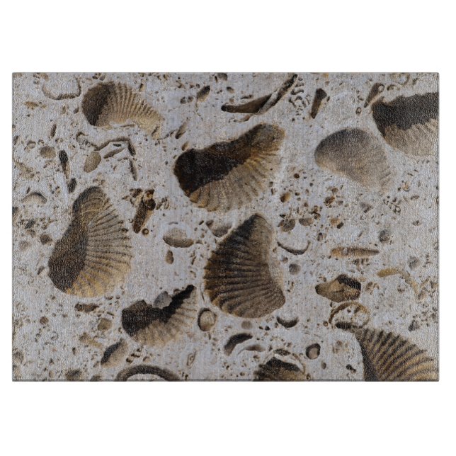 Limestone Fossils (Framsidan)