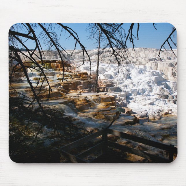 Limestone Terrace Mammoth Hett Vår Yellowstone Musmatta (Framsidan)
