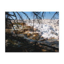 Limestone Terrace Mammoth Hett Vår Yellowstone