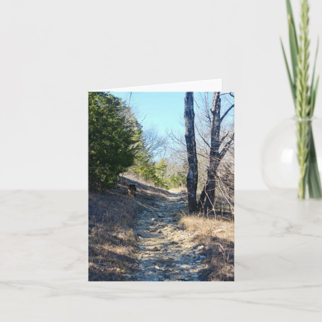 Limestone Trail Kort (Framsida)