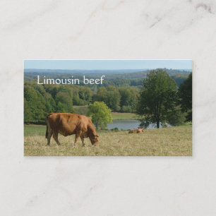 Limousin kor i ett lantligt landskap visitkort