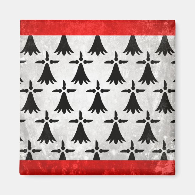 Limousin Magnet (Framsidan)