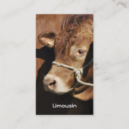 Limousin tjurvisitkort visitkort