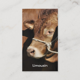 Limousin tjurvisitkort visitkort