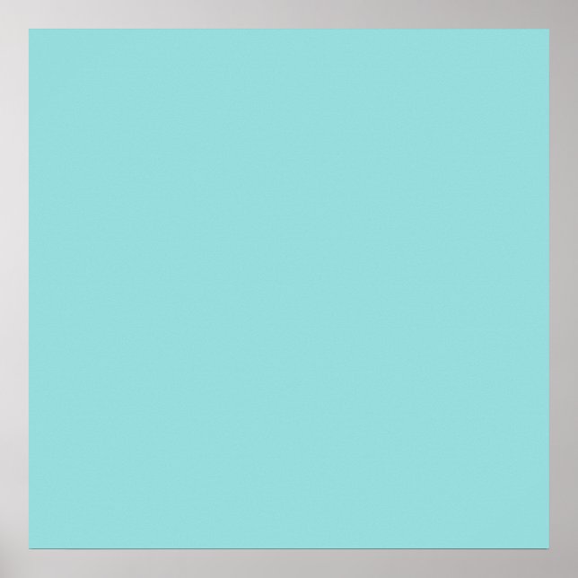 Limpet Snäcka Blue Färg Background Robin Egg Blue Poster (Framsidan)
