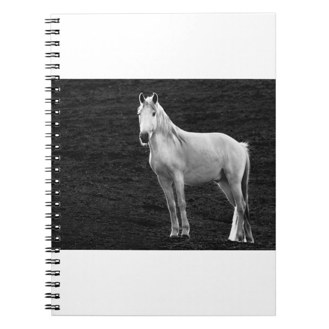 LIN10BW Stance.tifen Anteckningsbok (Framsidan)