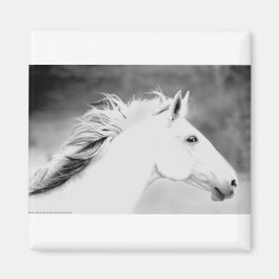LIN26BW-Mane i Wind.tifen Magnet