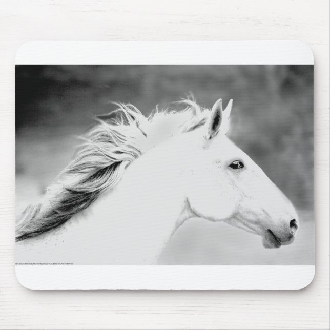 LIN26BW-Mane i Wind.tifen Musmatta (Framsidan)