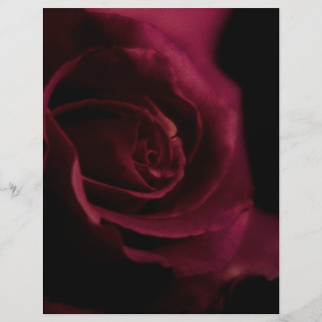 Linad Binder Papper Ro 8,5" x11" passar mycket Anp Reklamblad (Framsidan)