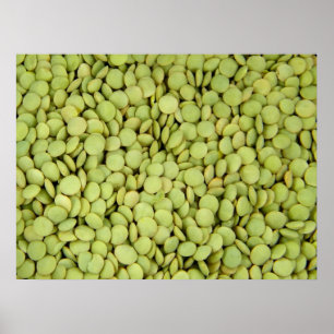 Linaffisch Poster