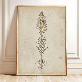 Linaria Bloom Vintage Väggkonst