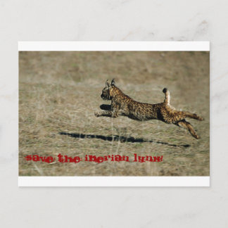 LINCE IBÉRICO, Spara Iberiska Lynx! Vykort