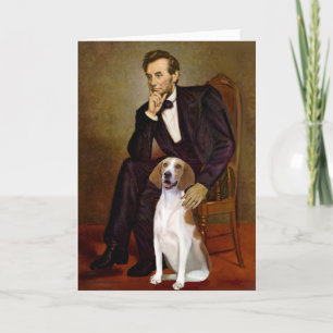Lincoln - American Foxhound Kort