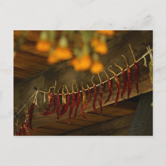 Lincoln Log Cabin Vykort (Framsida)