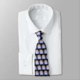 Lincoln Memorial Neck Tie (Färg) Slips