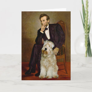Lincoln - Wheaten Terrier 7 Kort