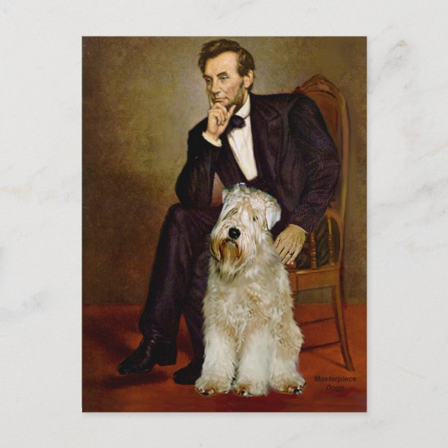Lincoln - Wheaten Terrier 7 Vykort (Framsida)
