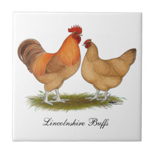 Lincolnshire fantasthönor kakelplatta