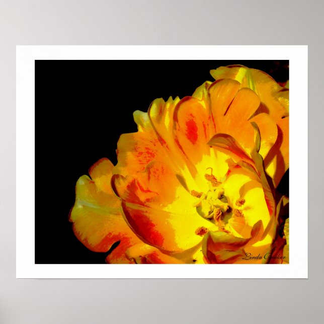 Linda Becker, oändligt Kärlek Poster (Framsidan)